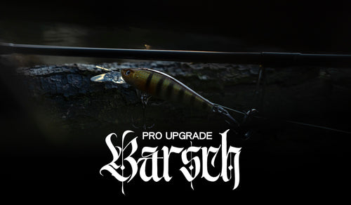 Barsch Spots (PRO)