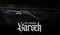 Barsch Spots (PRO)