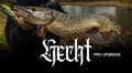 Hecht Spots (PRO)