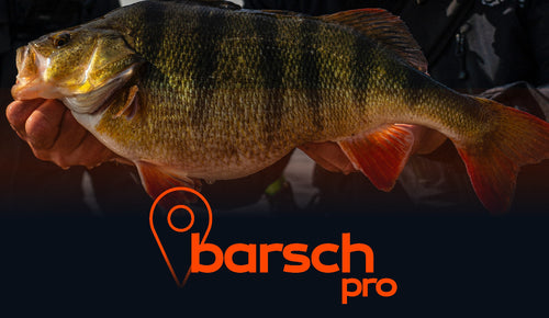 Barsch Spots (PRO)