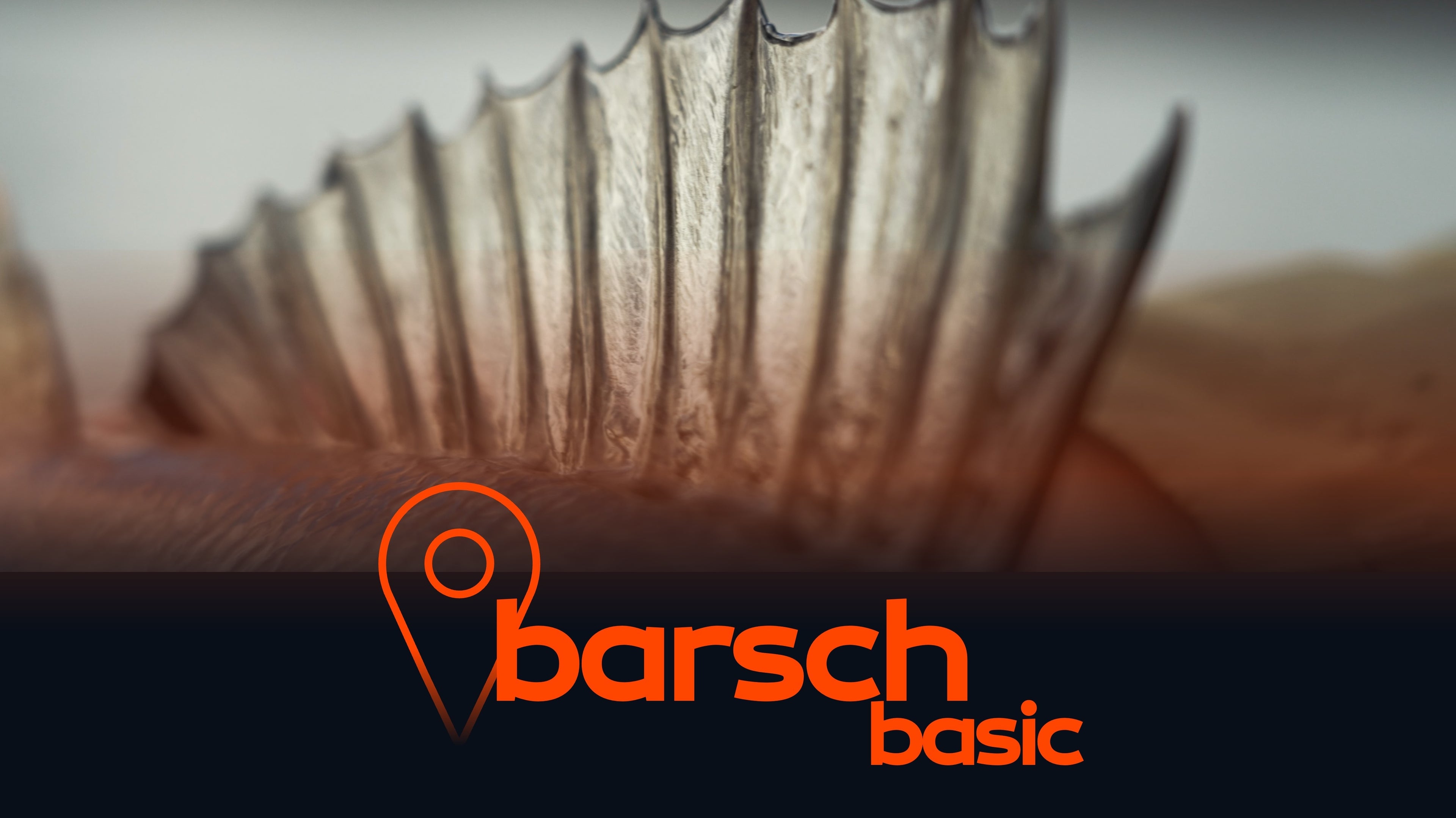 Barsch Spots BASIC