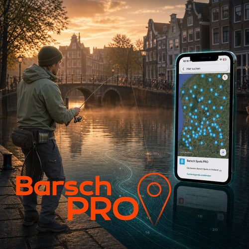 Barsch Spots PRO