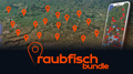 Angeln in Holland, Angelkarte Niederlande, Raubfisch Spots