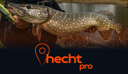 Hechtangeln Holland, Hechtspot in Holland, Hecht Niederlande