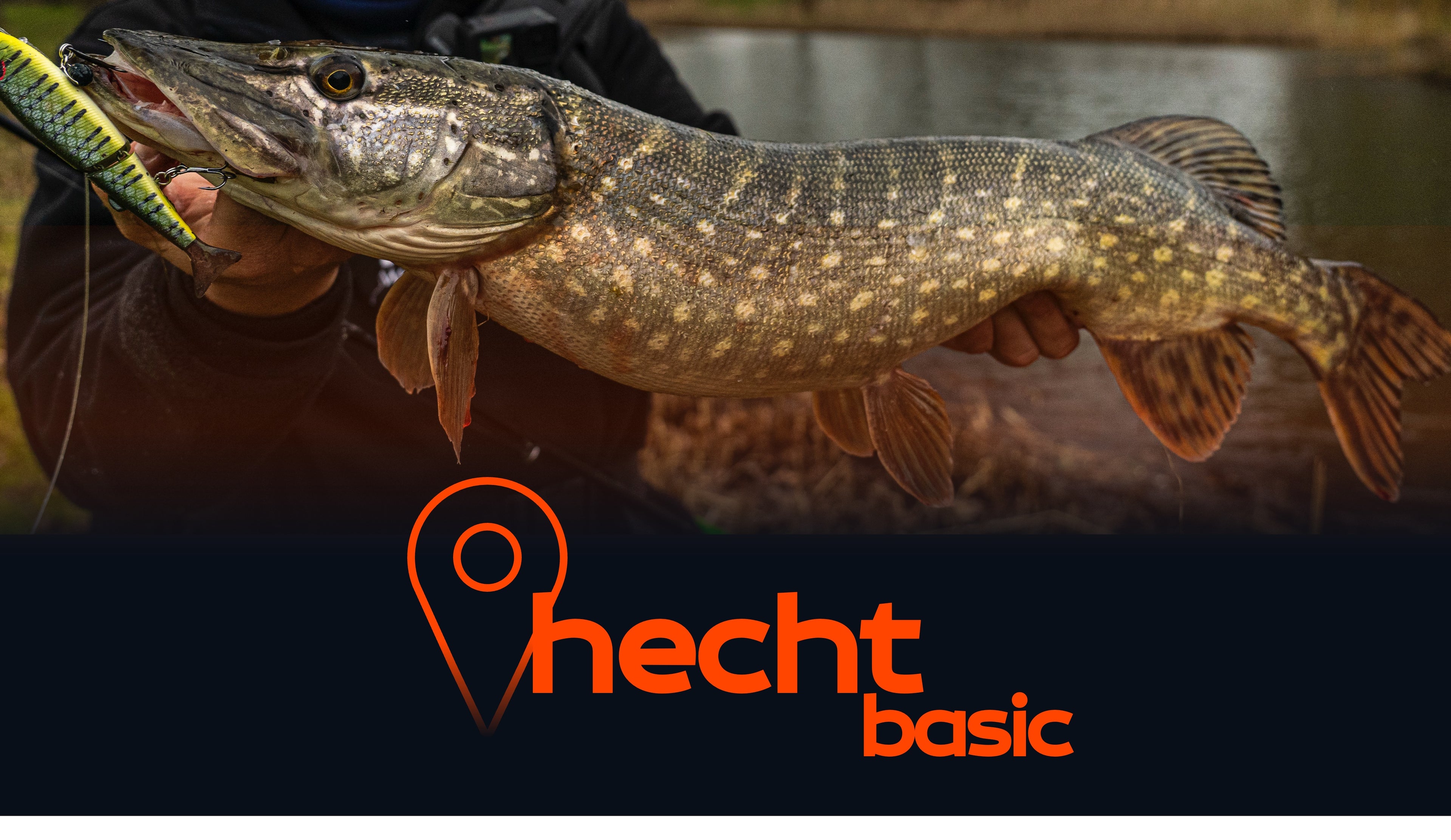 Hecht Spots BASIC
